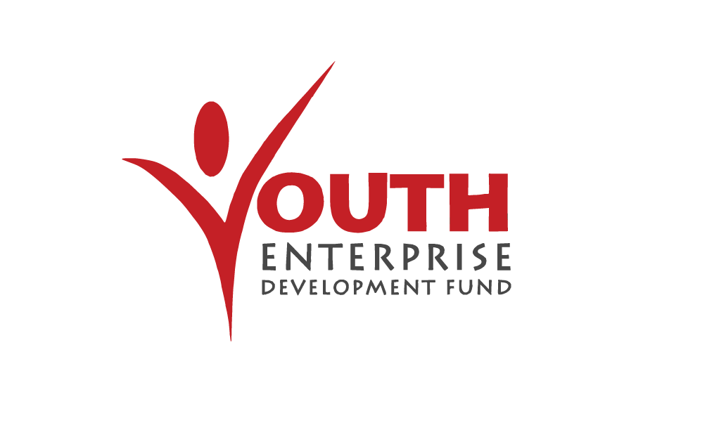 Youth Enterprise Development Fund
